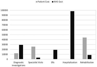 Economic Costs of Delayed Diagnosis of Functional Motor Disorders: Preliminary Results From a Cohort of Patients of a Specialized Clinic